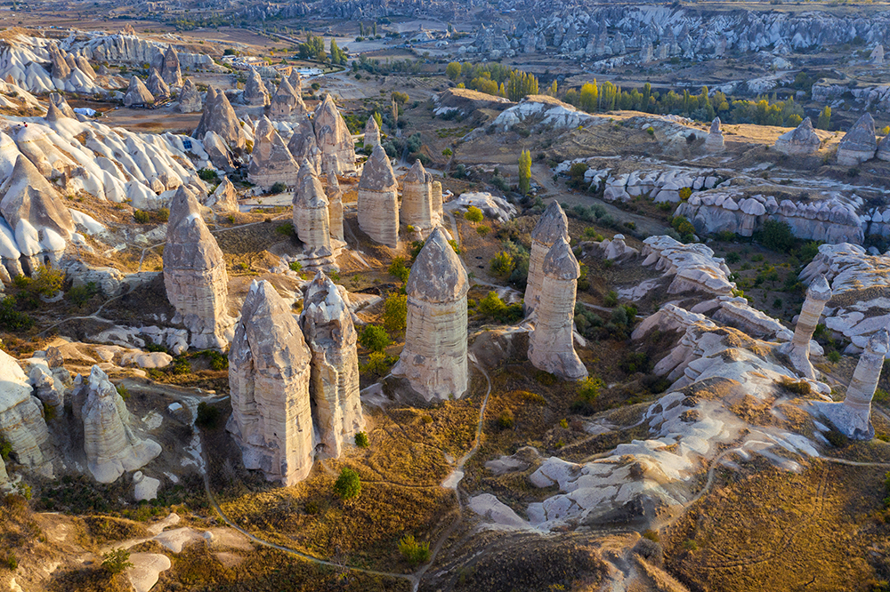 Scenic Landscape